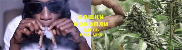 шишки Бронницы
