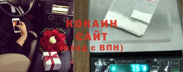 шишки Бронницы
