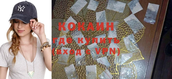 шишки Бронницы