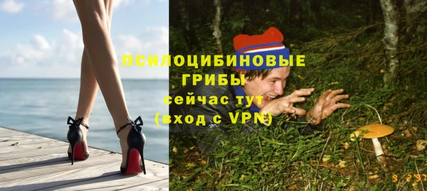 ГАЛЛЮЦИНОГЕННЫЕ ГРИБЫ Верея
