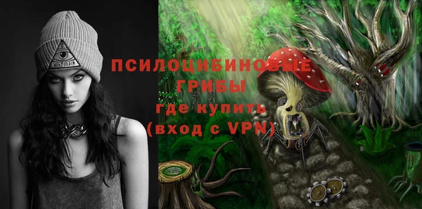 шишки Бронницы