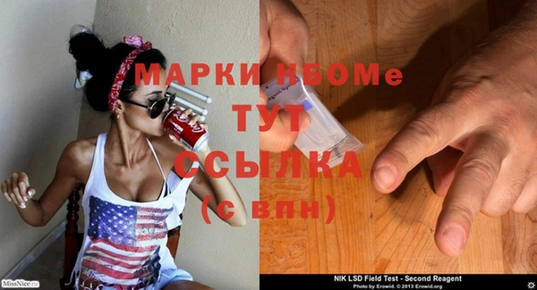 ГАЛЛЮЦИНОГЕННЫЕ ГРИБЫ Верея