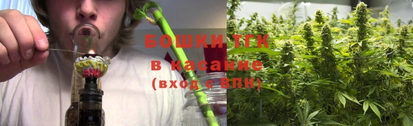 ГАЛЛЮЦИНОГЕННЫЕ ГРИБЫ Верея