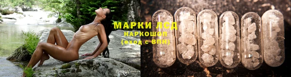 шишки Бронницы