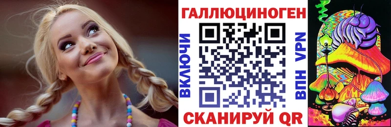 Псилоцибиновые грибы Psilocybe Дятьково