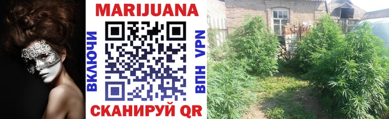 Конопля SATIVA & INDICA  Дятьково 